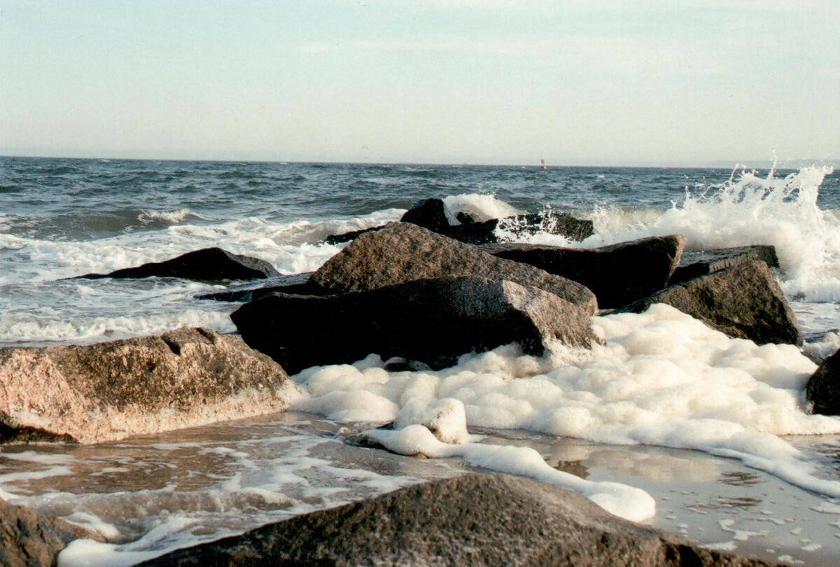 coney island seafoam (2017)
